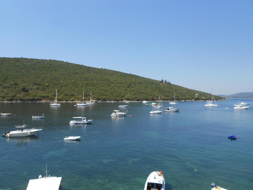 Apartments Vila Lazarevic Tivat Extérieur photo